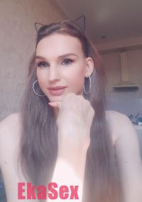 ���� ����������� �������� �� ������ ������������
