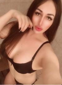 ���� ����������� ���� �� ������ ������������