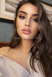 ���� ����������� ������ ���� �� ������ ������������